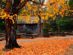 白洋淀上的破冰美景