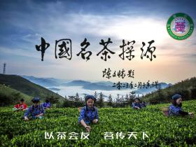 陈文怀教授为《中国名茶》探源活动题字