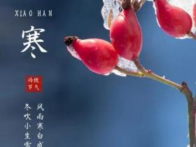 小寒节气的含义是什么?