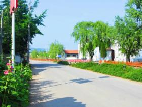 沂源县悦庄镇王家泉村:弘扬孝善文化 聚力乡风文明