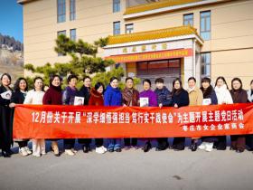 走进枣庄瑞琴艺术馆——枣庄市女企业家商会主题党日别样精彩