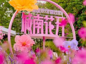 深圳南山区:“城南花开”盛大启幕 ,“万亿花FUN”点亮新春