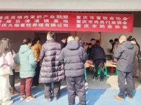 产学研协同打造安全食品生态黑猪肉标杆