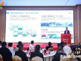 广州南沙区珠江街:产业招商大会落子8大项目,邀湾区客商抢占“南沙站”红利