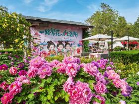 一路繁花向洛阳 必胜客牡丹快闪店解锁春日赏花美食新场景
