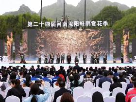河南汝阳第二十四届杜鹃花赏花季盛大开幕