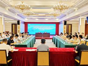 广州黄埔区黄埔街道:开局冲刺见成效,绘就商贸新蓝图