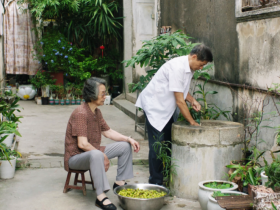 蓬盛橄榄菜:从潮汕杂咸到海外“思乡菜”|农行汕头分行金融活水润侨乡根脉