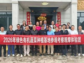 深耕绿色有机农业 共探品质发展之路—各界专家组团考察巴南区东温泉镇绿色有机蔬菜种植基地