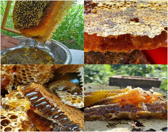 【云南】秋染凉山 丰收正当时-图片1