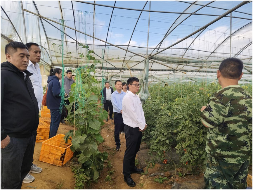 【云南】取真经强本领促振兴显担当——凉山乡人大代表赴姜驿乡考察学习-图片3