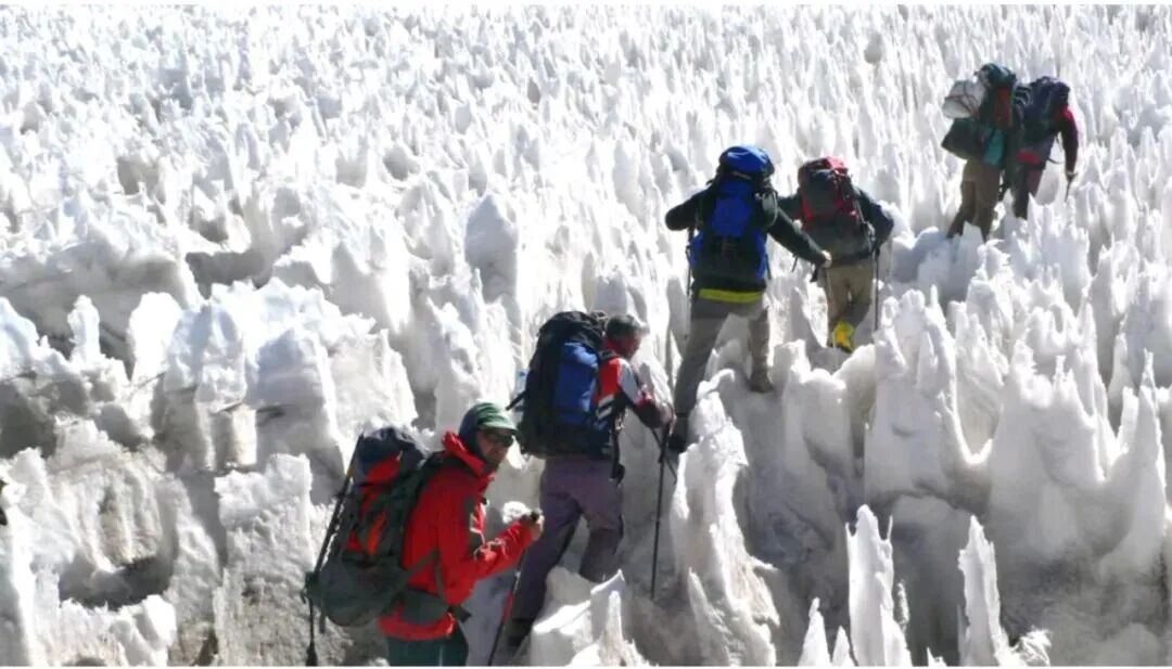 金飞豹挂帅院长:为体育产业注入“探险家”硬核基-图片3