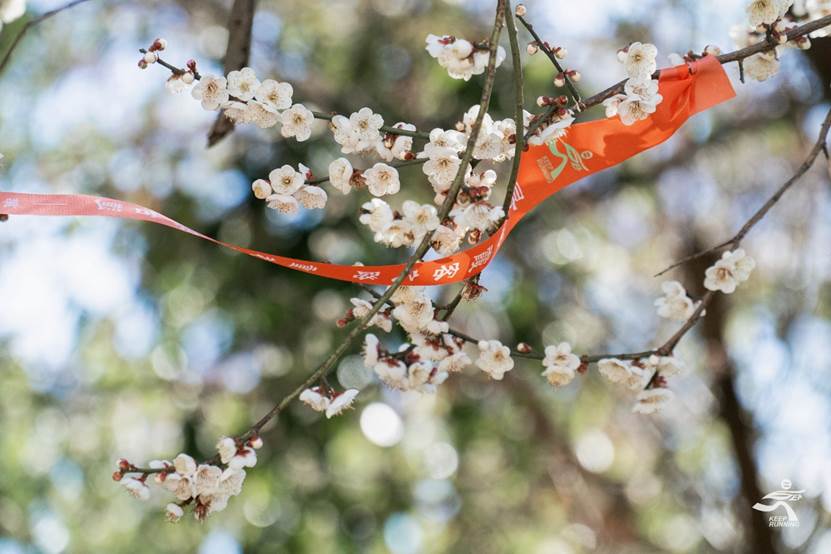 “寻迹霞客之路重走茶马古道”第七届天堂山越野赛开始报名啦-图片3