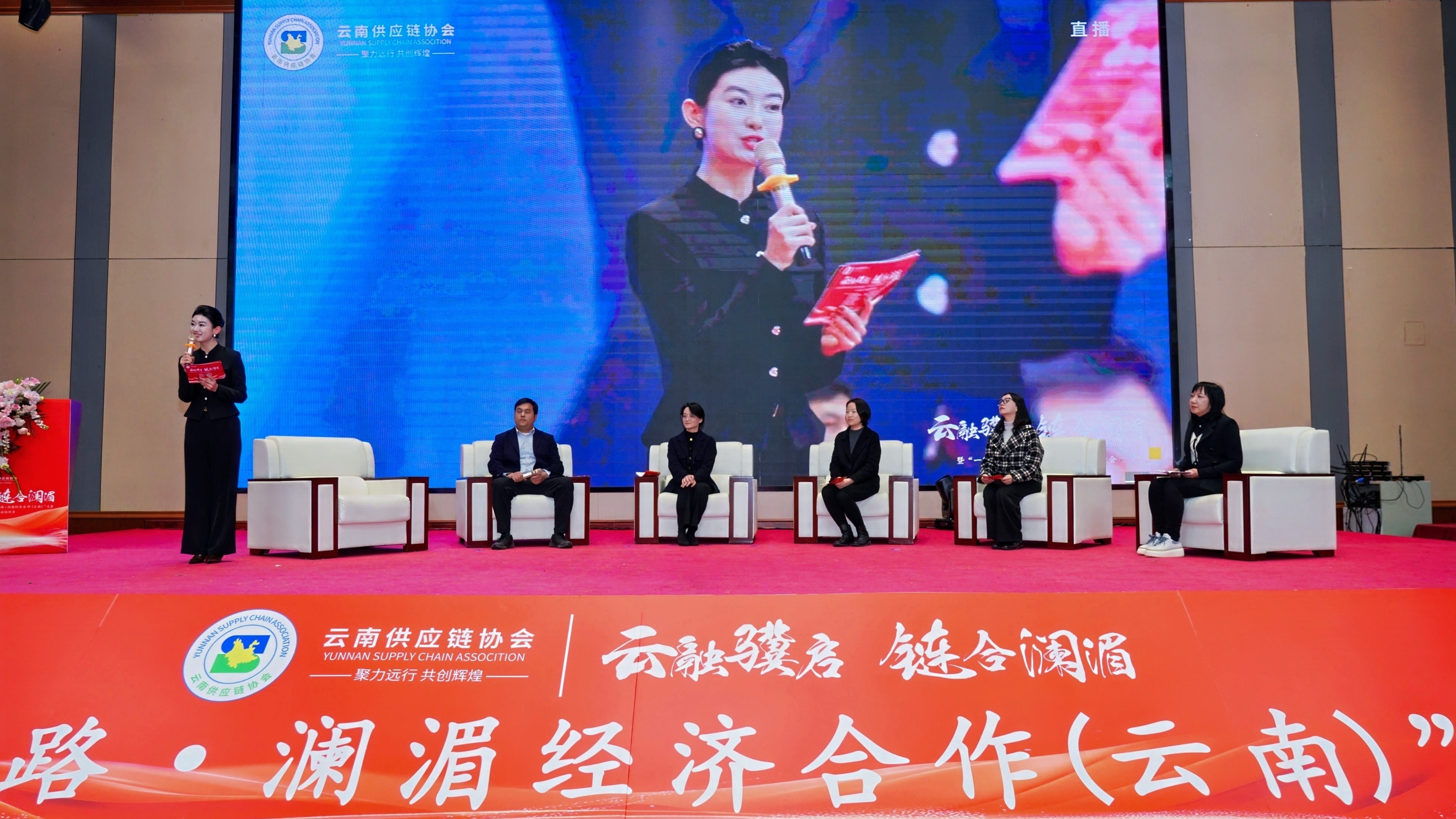 打开面向南亚东南亚的云南之窗 中外嘉宾共话澜湄供应链新机遇-图片2