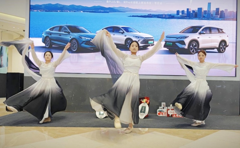 枣庄奚仲比亚迪集团举办枣庄站“2026款双秦、宋Pro DM – i”上市发布会比亚迪开启新年新征程-图片8