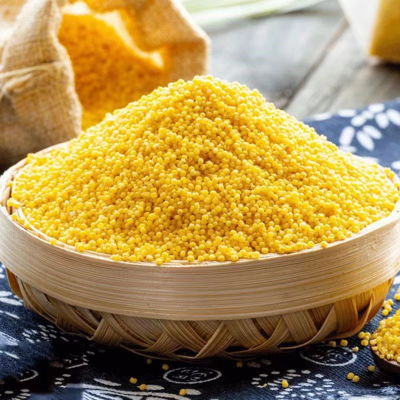 小米情怀-图片1