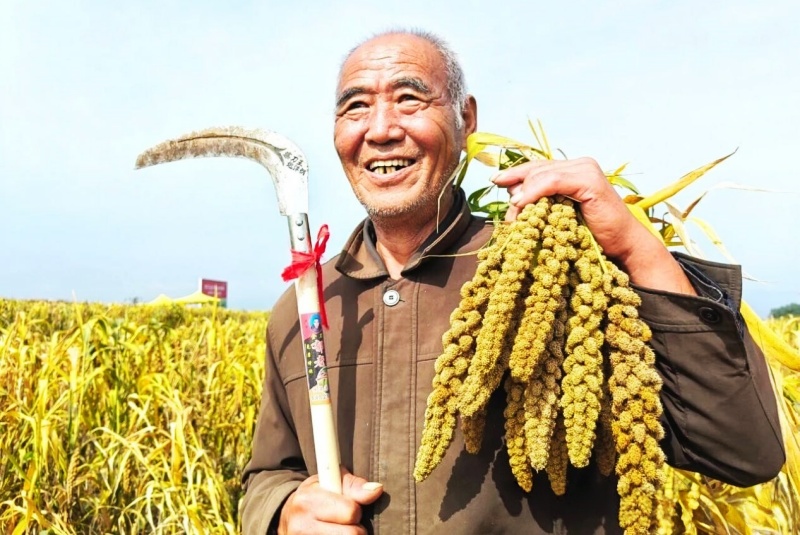 小米情怀-图片7