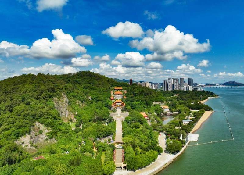 广州南沙区：除了逛灯会，你还可以“游”-图片2