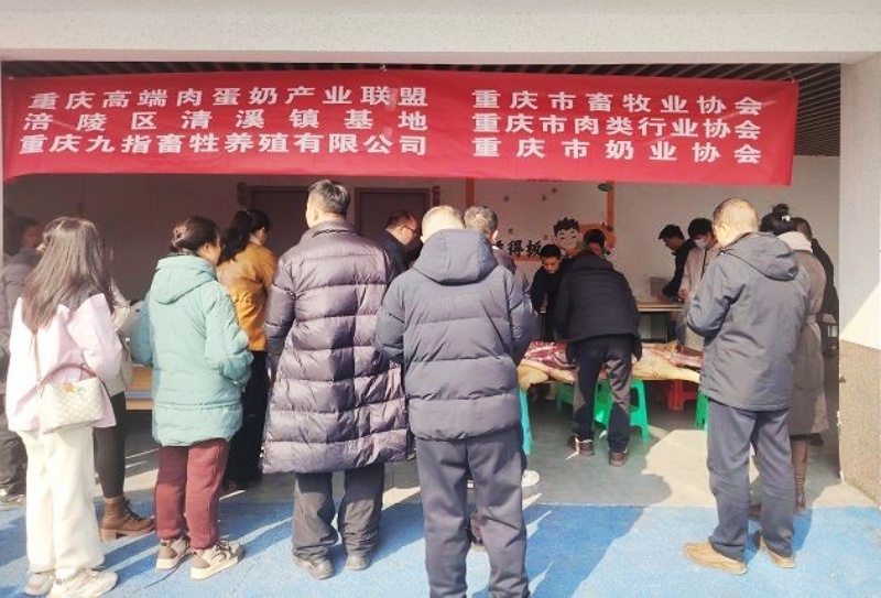 产学研协同打造安全食品生态黑猪肉标杆-图片1