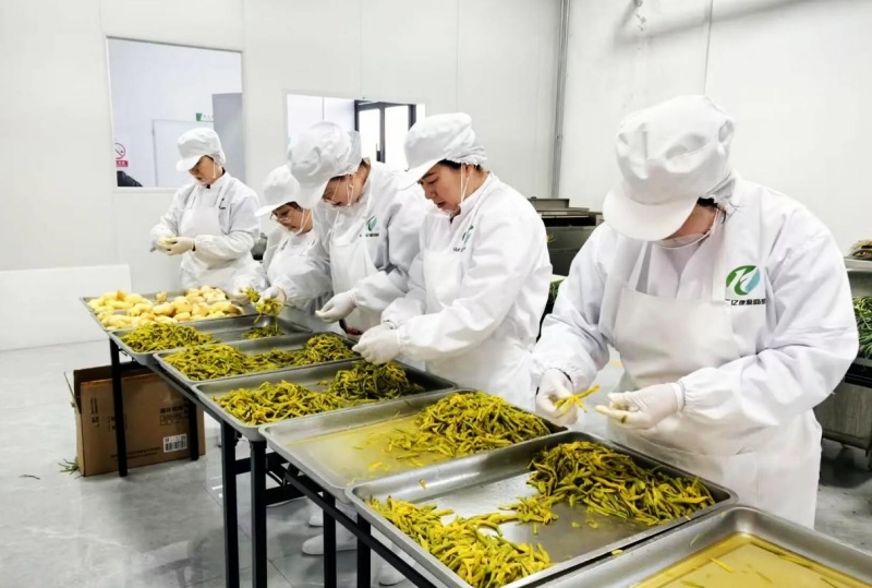 山西“大同好粮”添年味：左云“英盈”玻璃蒸饺在大同古城热销-图片3