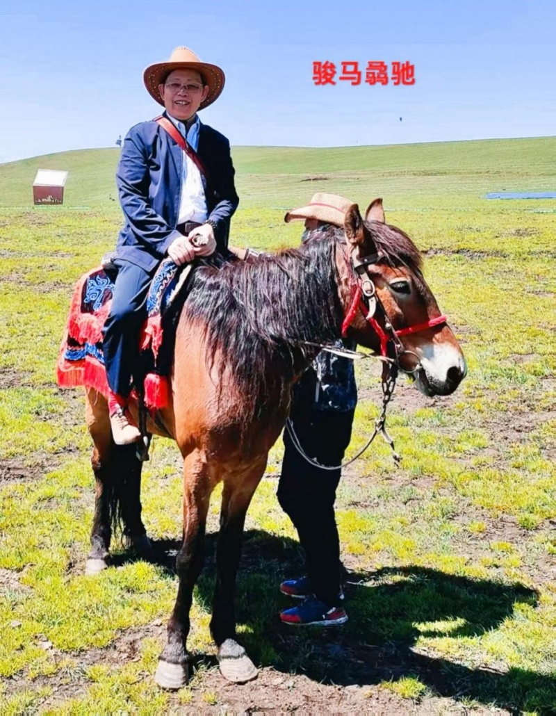 “骏马骉驰”喜迎春 |  一副春联的文墨交响-图片3