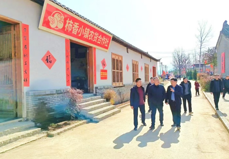 洛宁县委书记王瑞新春视察柿乡小镇，助力乡村振兴新发展-图片1