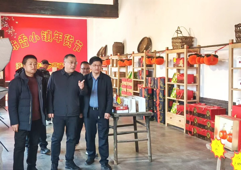 洛宁县委书记王瑞新春视察柿乡小镇，助力乡村振兴新发展-图片2