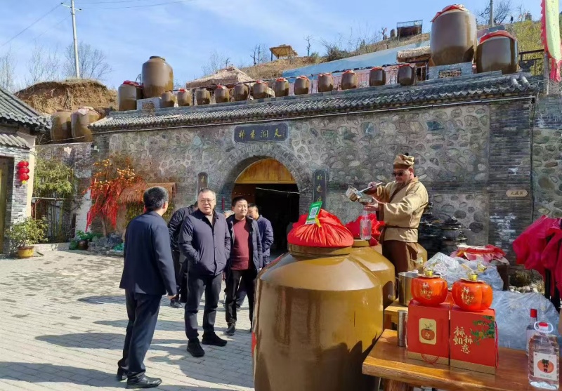 洛宁县委书记王瑞新春视察柿乡小镇，助力乡村振兴新发展-图片3