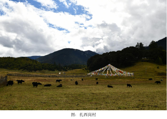 因一张照片,驱车282公里-图片2