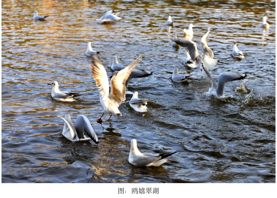 五十年,一缕年味-图片4