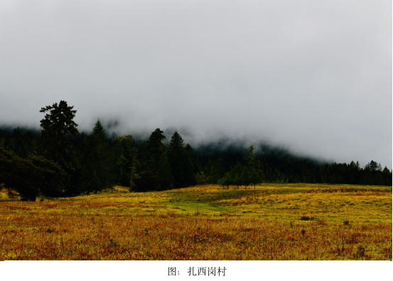 因一张照片,驱车282公里-图片3