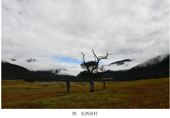 因一张照片,驱车282公里-图片5