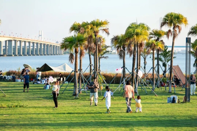 来南沙,创未来!一起干,一起拼!-图片4