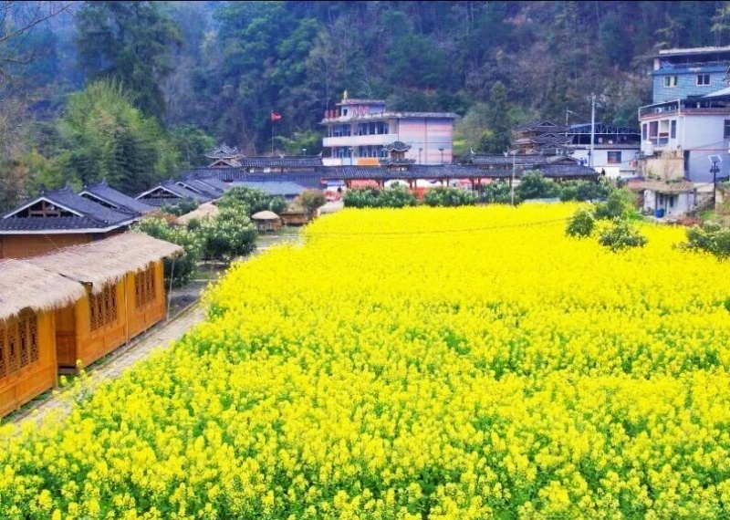 贵州台江县 云海苗乡藏盛景 诗画小河醉田园-图片3