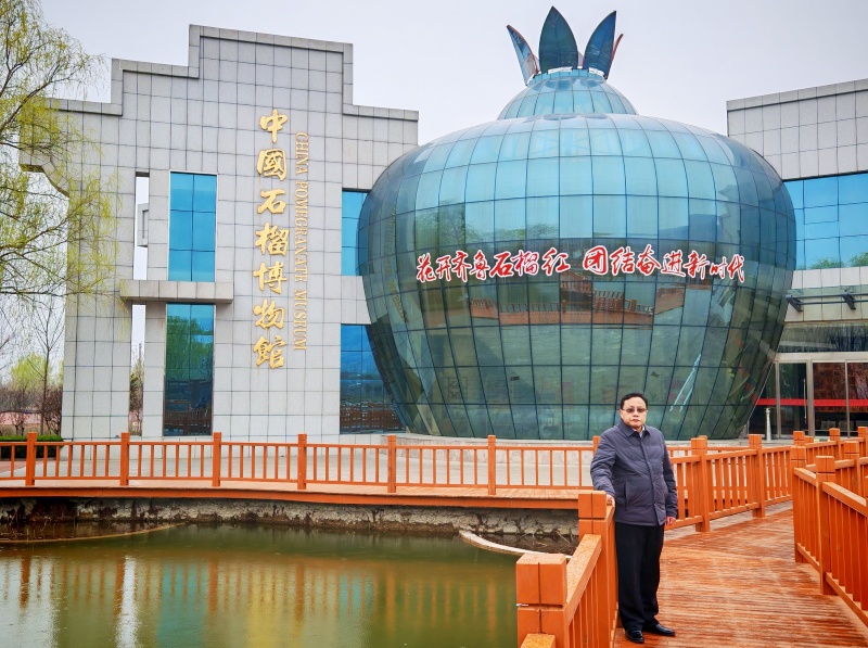 春雨润榴园 党建促振兴——中国新时代党建融媒岳伟新社长赴枣庄峄城万亩石榴园调研-图片3