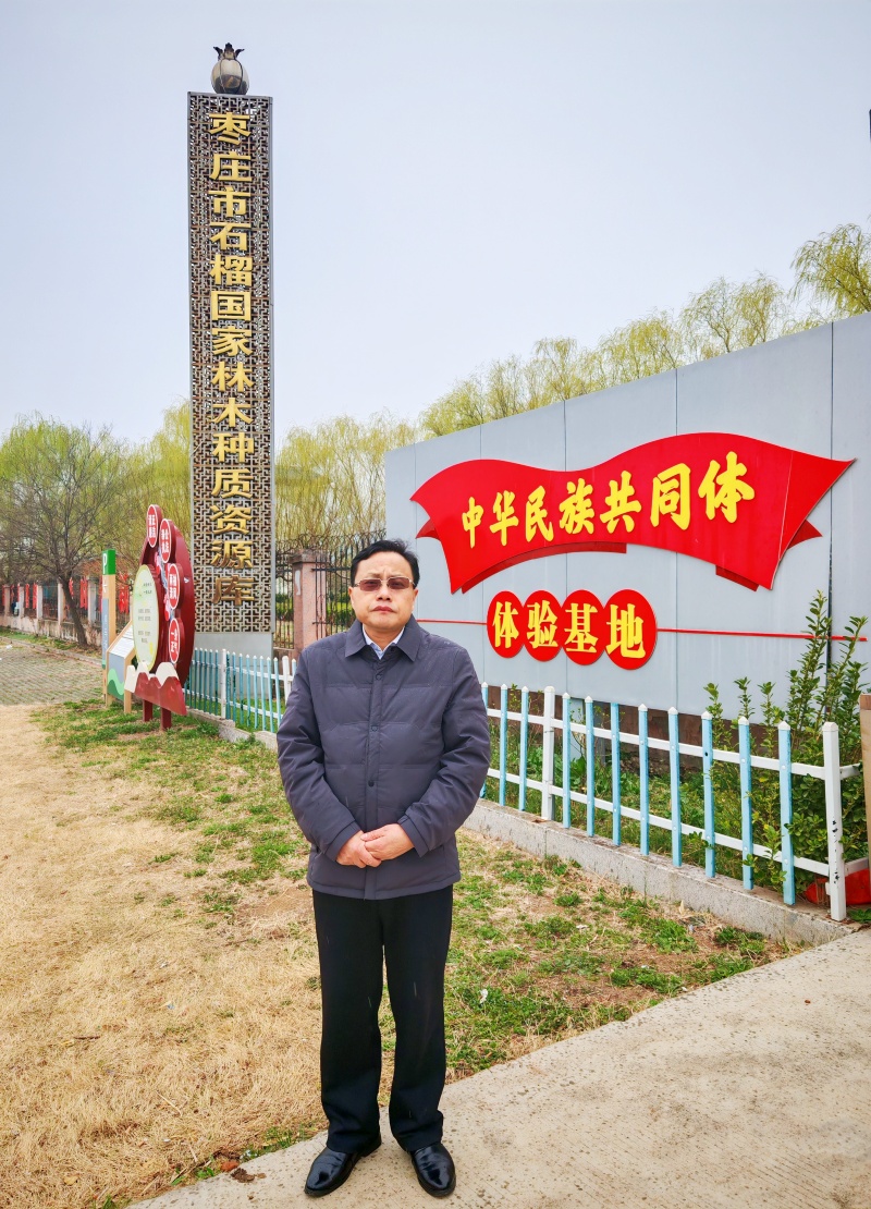 春雨润榴园 党建促振兴——中国新时代党建融媒岳伟新社长赴枣庄峄城万亩石榴园调研-图片4