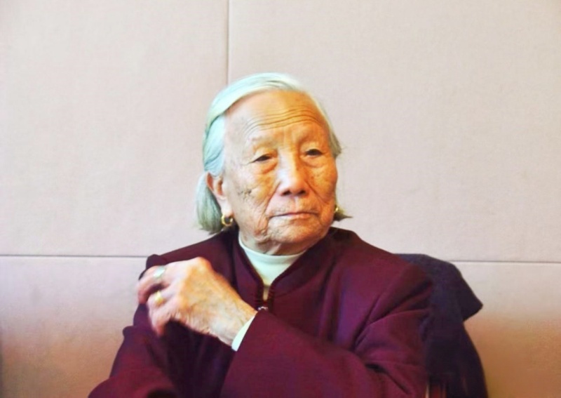 黄义子:新中国妇女楷模、从田埂里走出来的人民代表-图片1