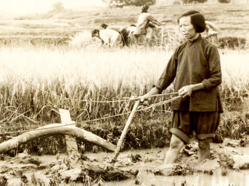 黄义子:新中国妇女楷模、从田埂里走出来的人民代表-图片2