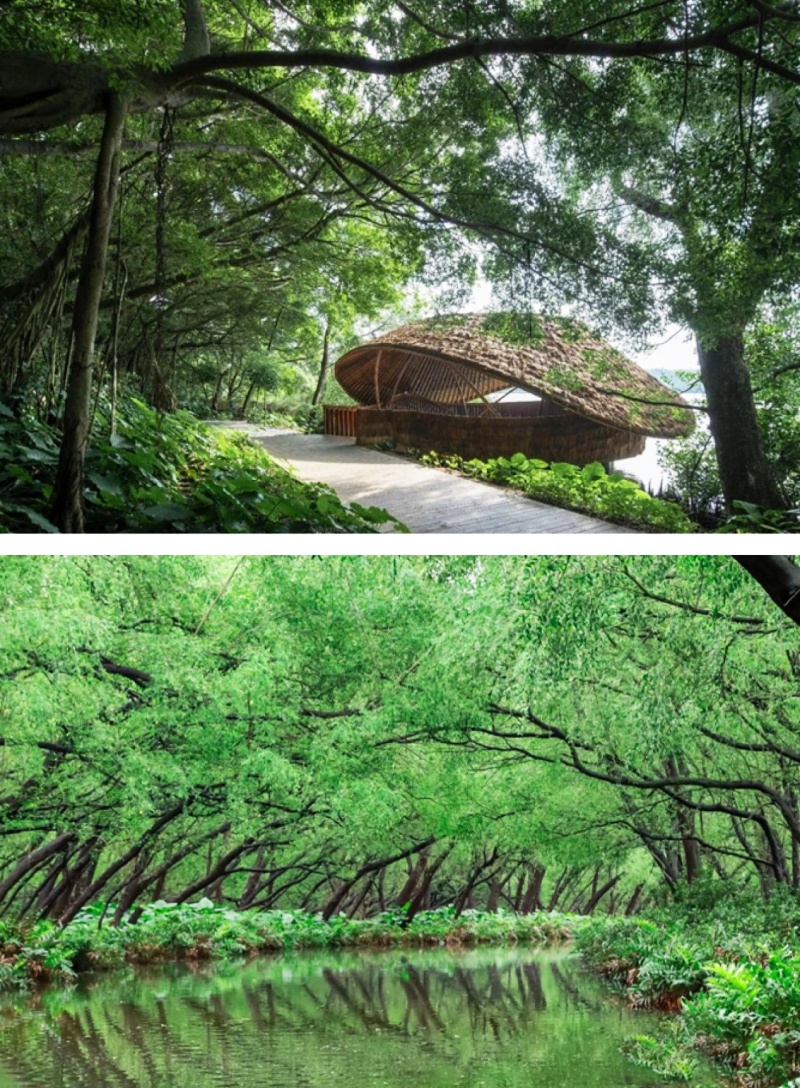 来广州南沙这个小镇colorwalk，每一帧都是春日大片-图片1