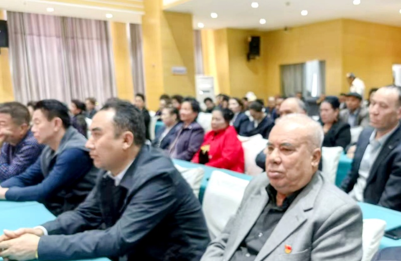 银发心向党 同心筑共同体-图片5