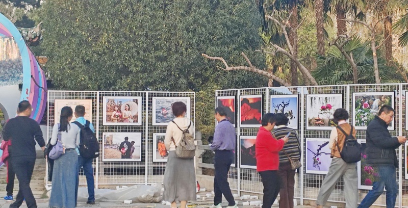 洛阳酒祖兰亭牡丹摄影展:绽放在光影中的牡丹雅韵酒-图片3