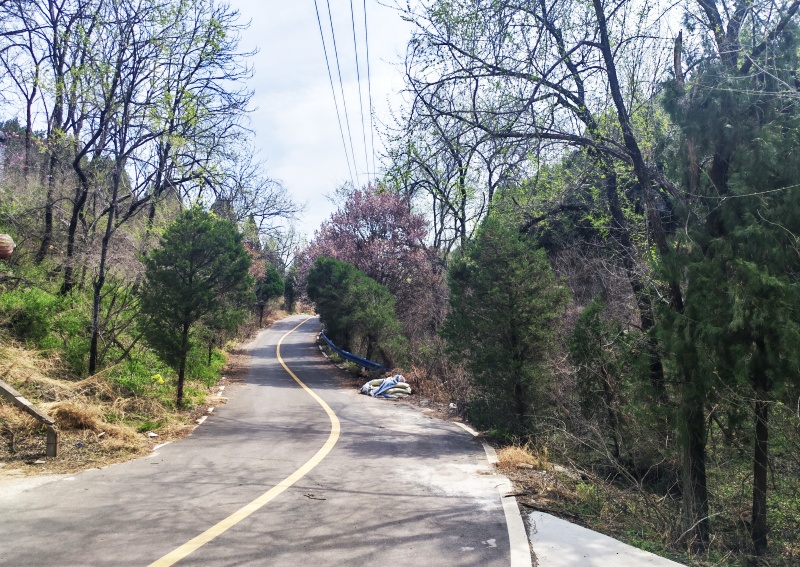 洛阳万佛山·佛硒田园:农文旅康养融合新标杆-图片1