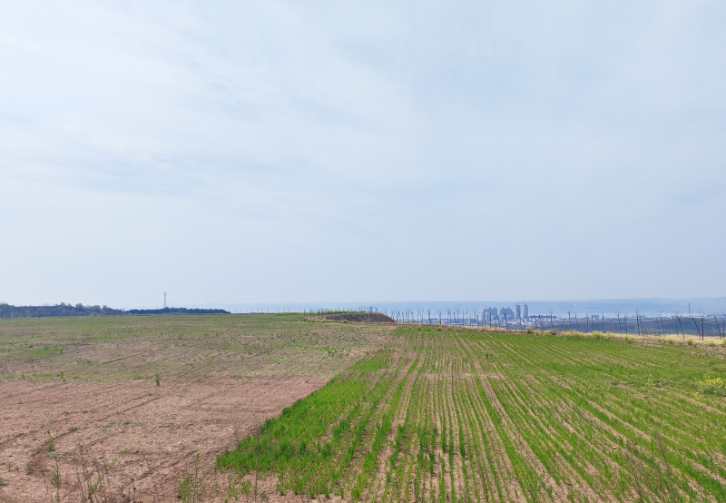 洛阳万佛山·佛硒田园:农文旅康养融合新标杆-图片2