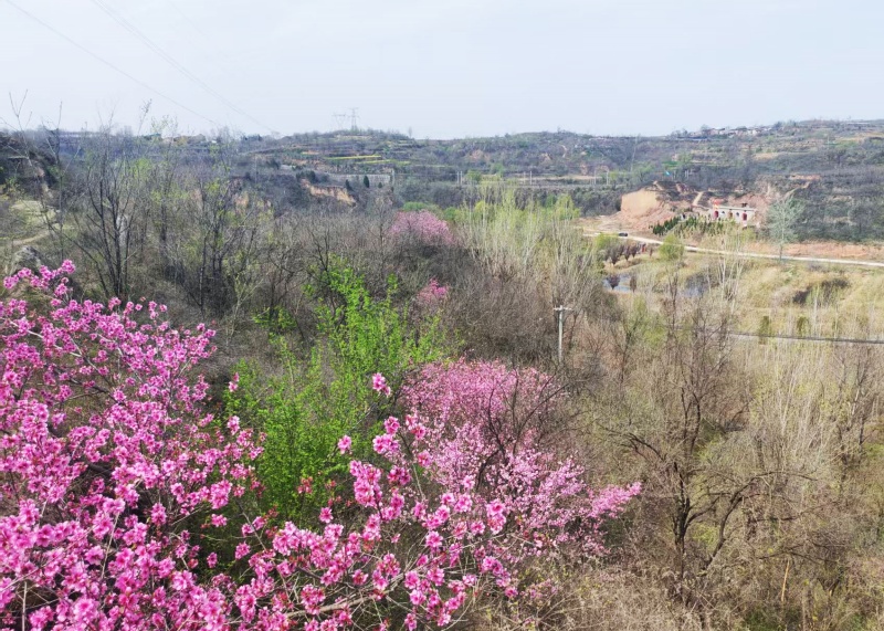 洛阳万佛山·佛硒田园:农文旅康养融合新标杆-图片3