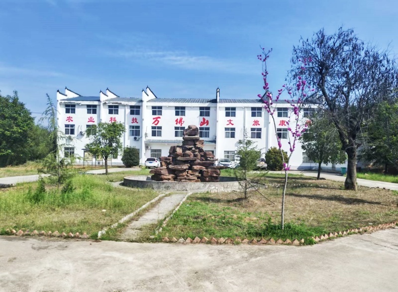 洛阳万佛山·佛硒田园:农文旅康养融合新标杆-图片5