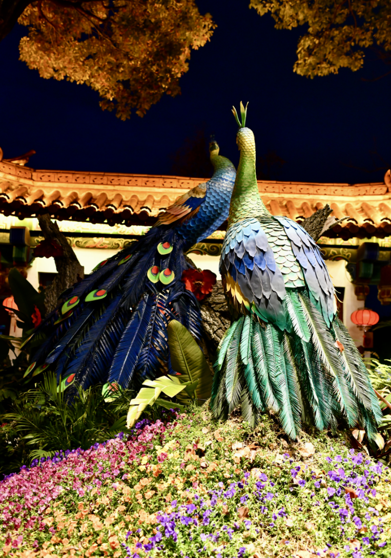 偷得半宵年少梦:元宵忆事-图片2