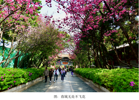 在昆明，山水是生活最温柔的笔触-图片3