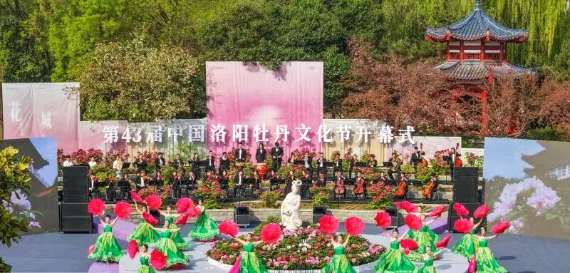 总领群芳是牡丹，一路繁花向洛阳第43届中国洛阳牡丹文化节今日启幕-图片1