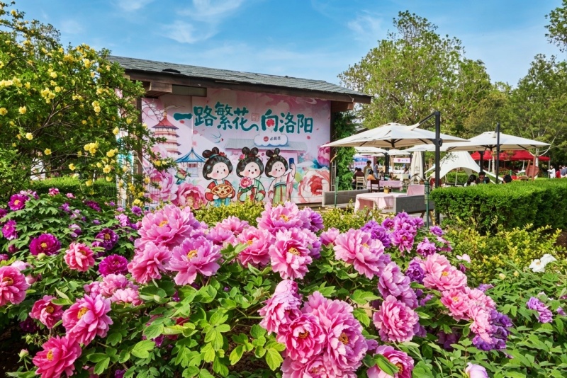 一路繁花向洛阳 必胜客牡丹快闪店解锁春日赏花美食新场景-图片1