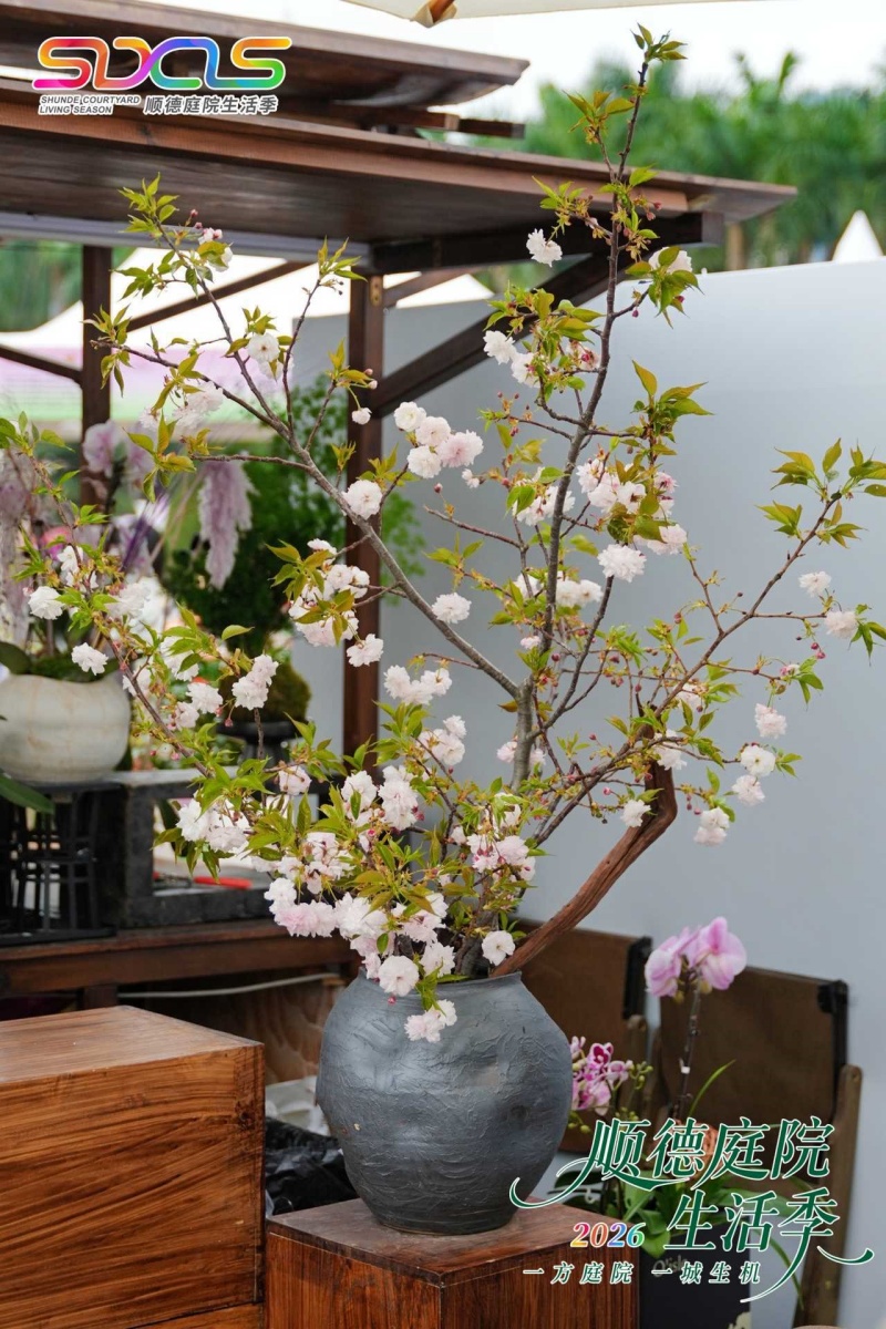 一方庭院，一城生机 | 2026顺德庭院生活季盛大启幕-图片1